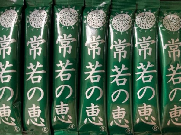 Photo3: Tokowaka Megumi (3)